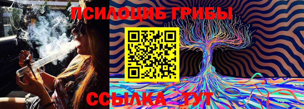 Псилоцибиновые грибы Psilocybine cubensis  купить  цена  Нерюнгри  Вход с VPN 